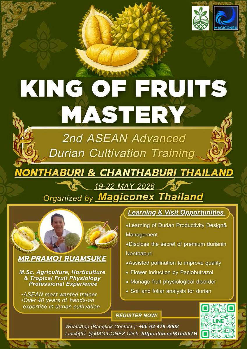 King of Fruits Mastery 2026 banner