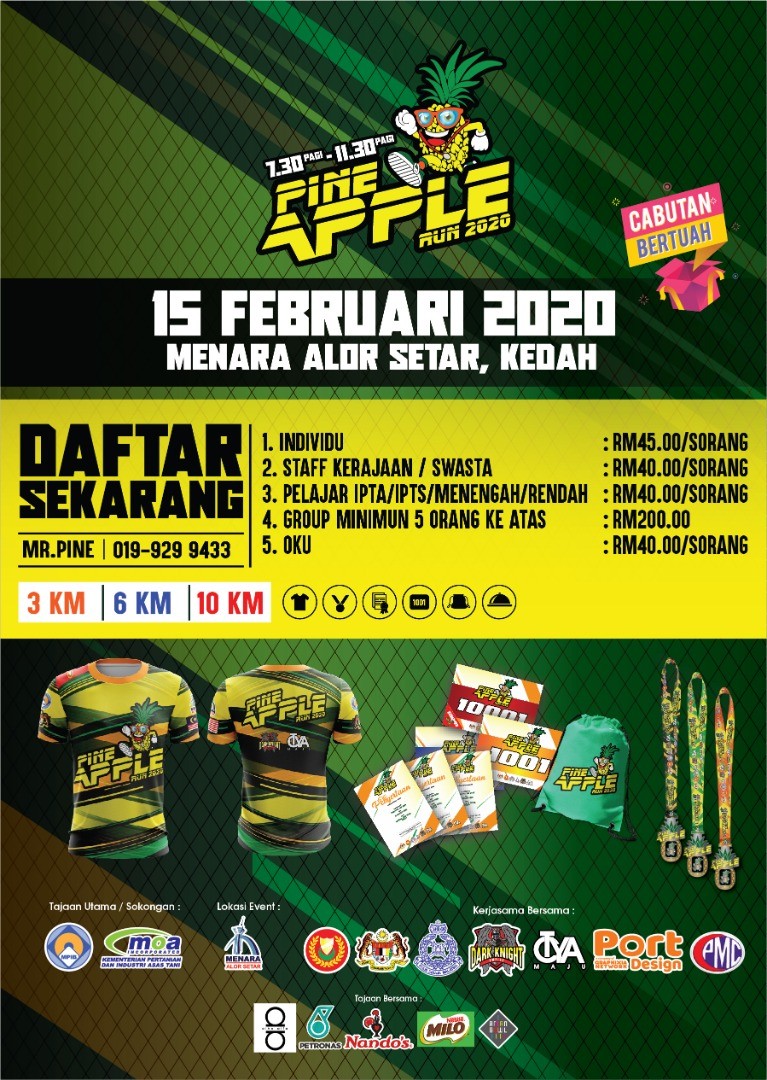 Pineapple Run 2020 banner