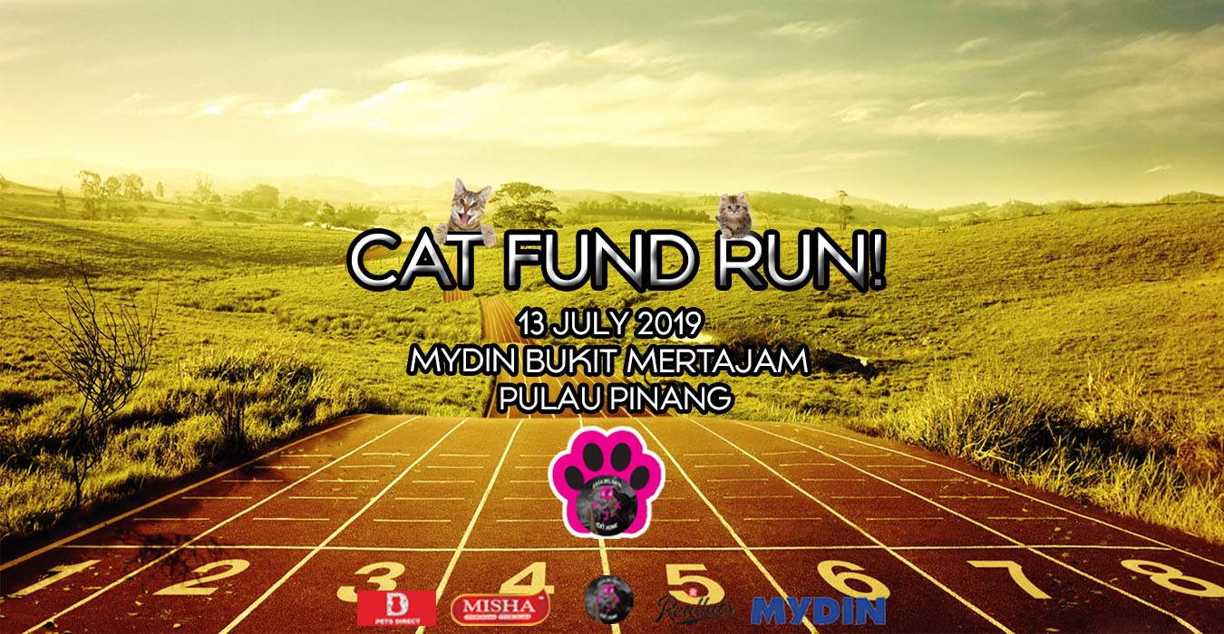 Cat Fund Run banner