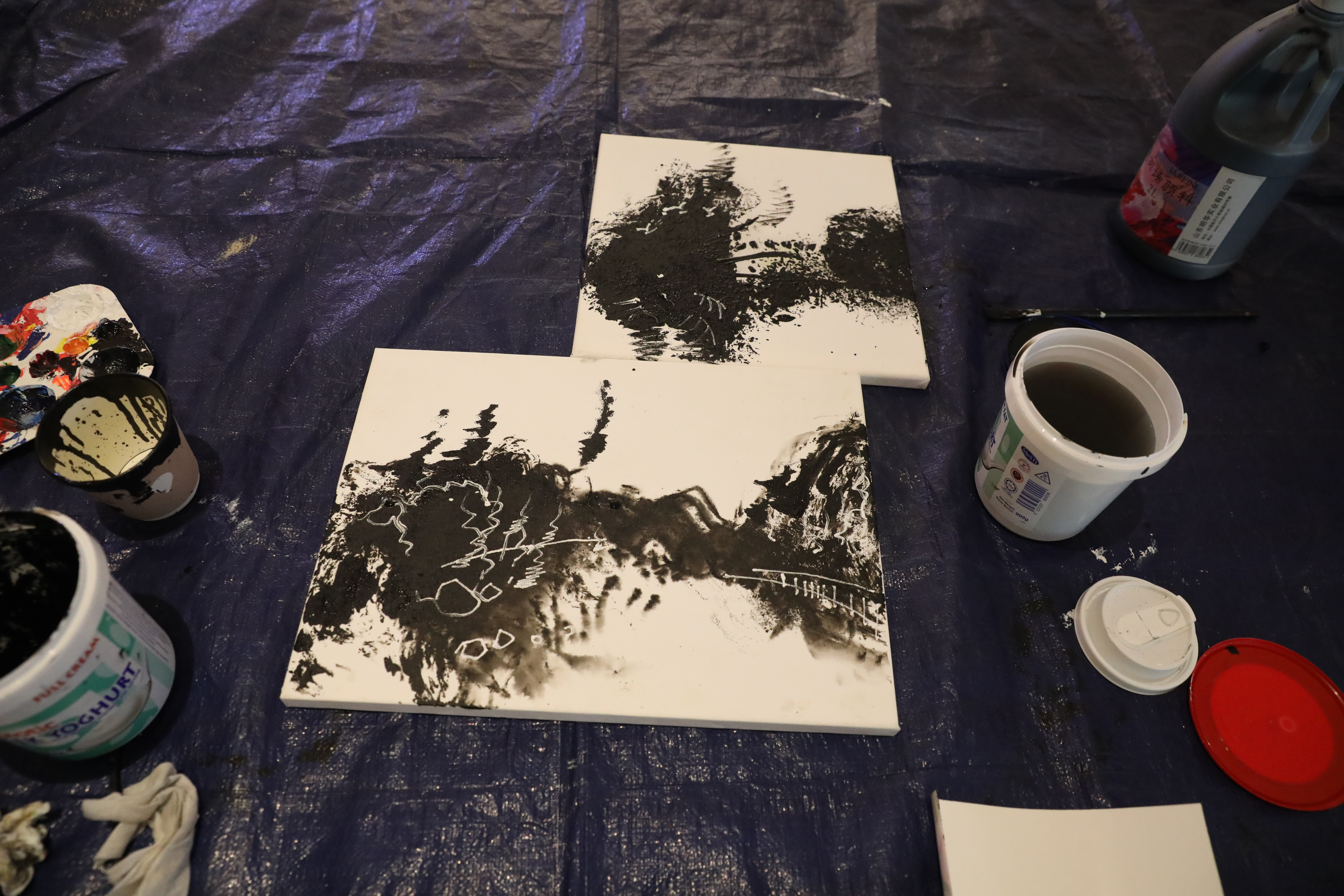 Image 5