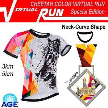 Cheetah Color Virtual Run banner