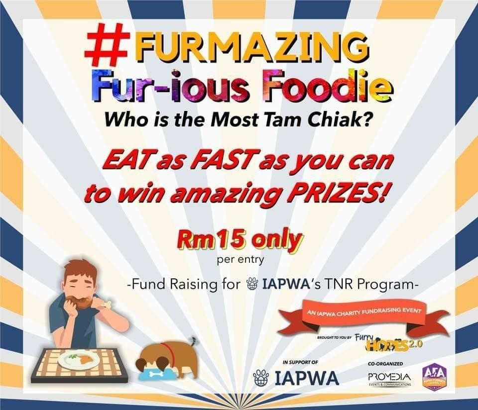 #Furmazing Fur-ious Foodie banner