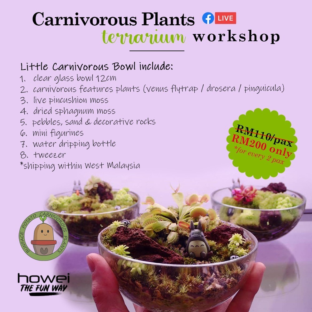 Carnivorous Plants Terrarium Workshop banner