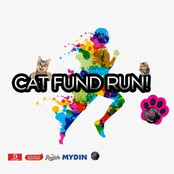 Cat Fund Run banner