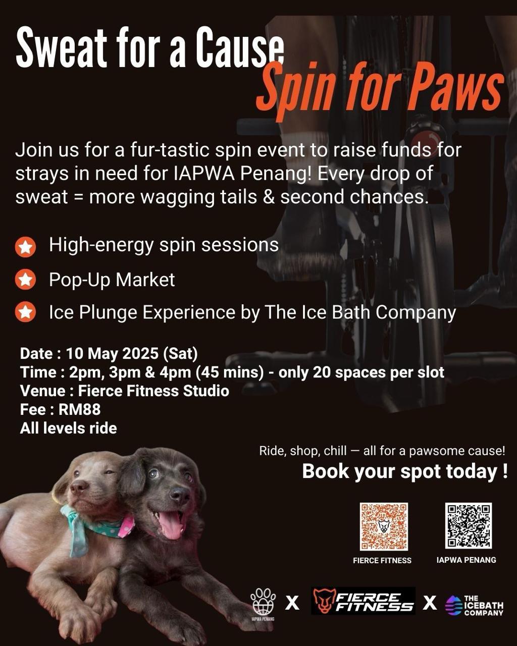 Sweat For A Cause - Spin For Paws banner